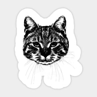 Cat retro pop art Sticker